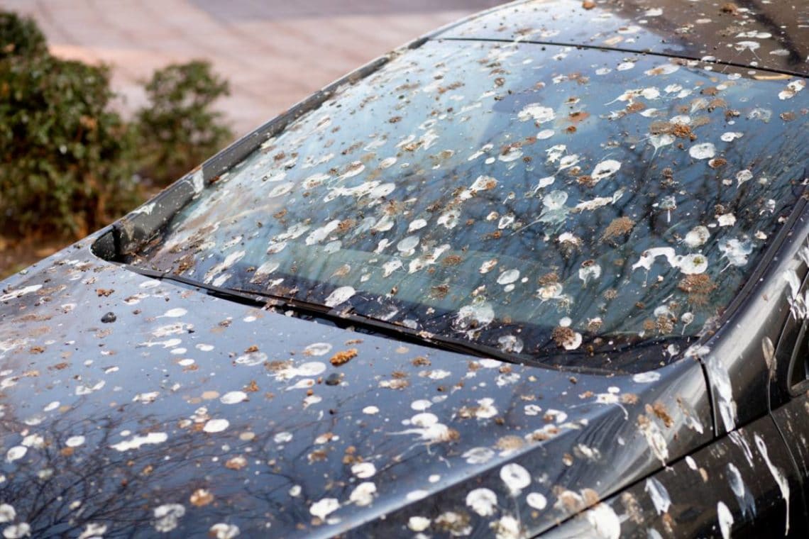 Une voiture qui est sale car elle n'a pas de housse