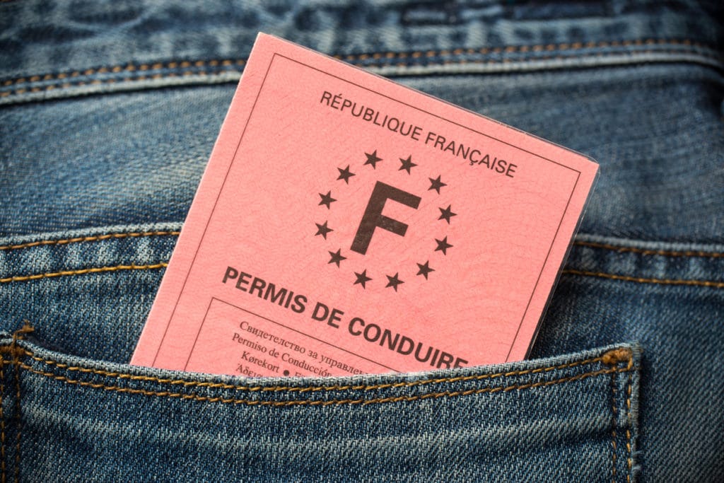 permis perte point