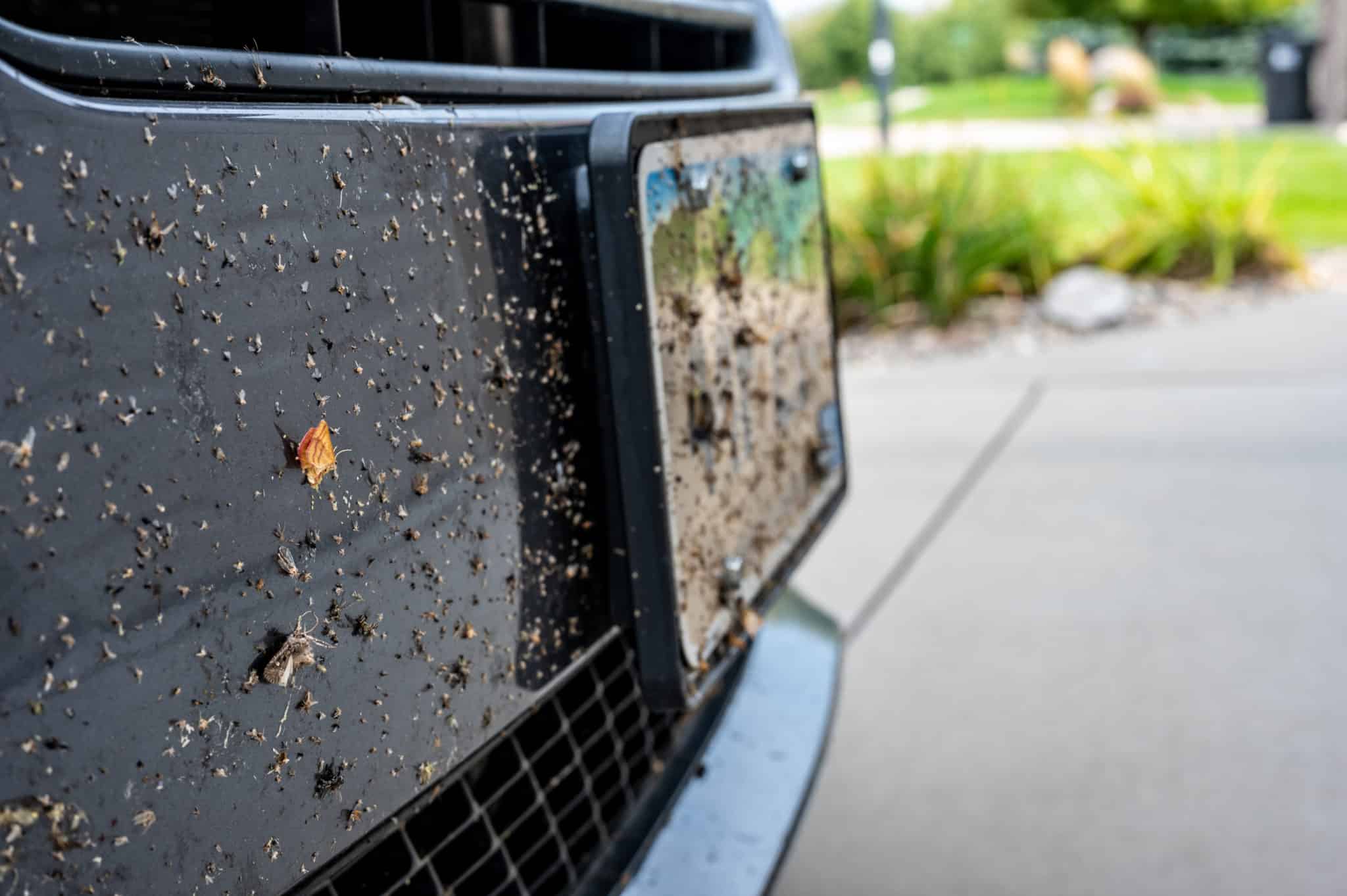 Une voiture avec une plaque d'immatriculation sale et illisible